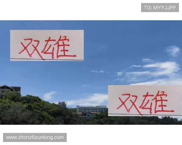 尊龙平台app下载：官方正版下载保障用户权益的安全措施