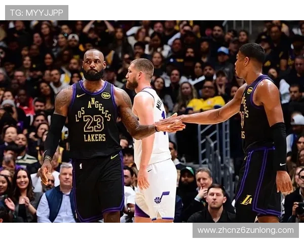 尊龙app官网下载安装操作指南，详细介绍每个步骤确保顺利完成