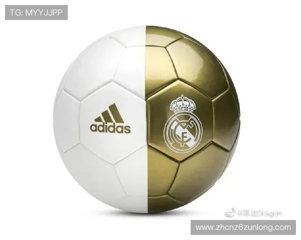 尊龙体育下载：多平台支持的下载安装流程详解