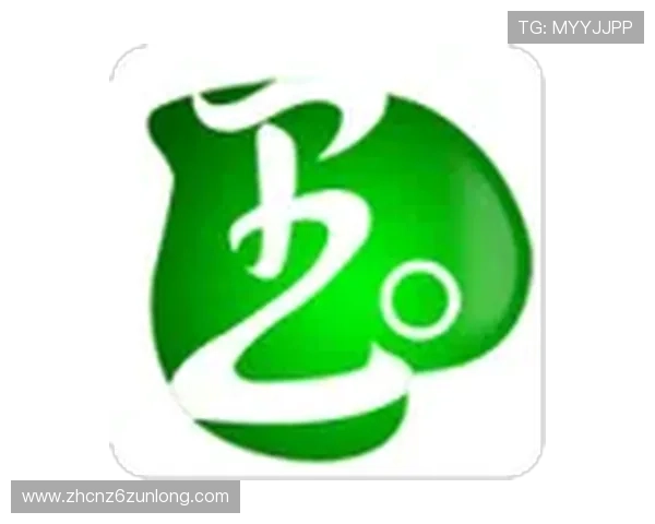 尊龙官方入口：官方入口支持多设备同步登录体验