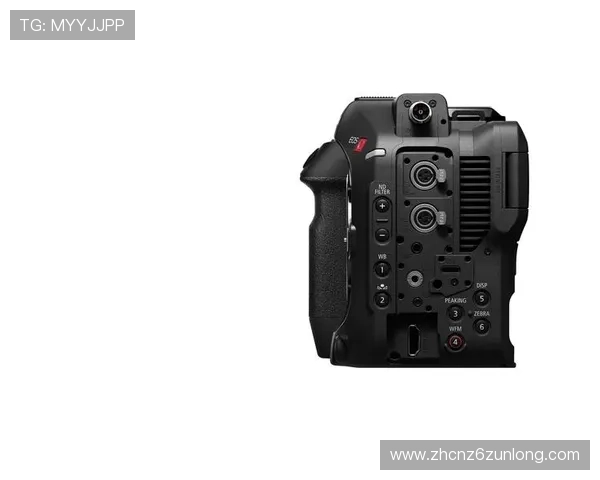 尊龙z6电子游戏平台的用户体验优化措施,打造更加人性化的游戏环境 尊龙z6电子游戏平台的用户体验优化措施,打造更加人性化的游戏环境