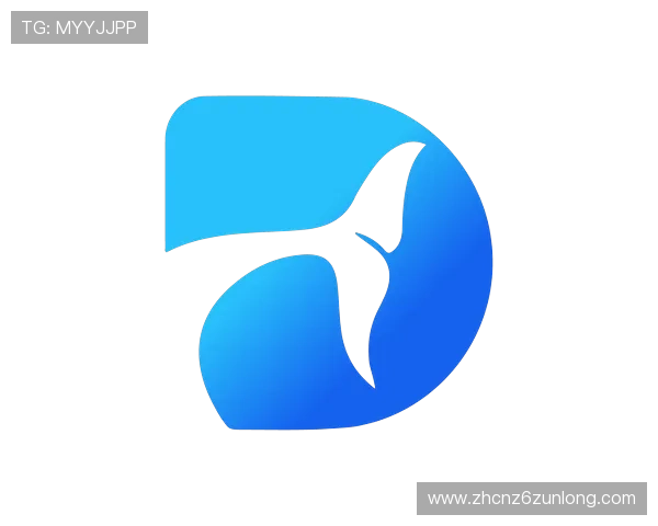 尊龙时凯人生官网登录入口官方渠道推荐，确保账号安全与顺畅登录体验